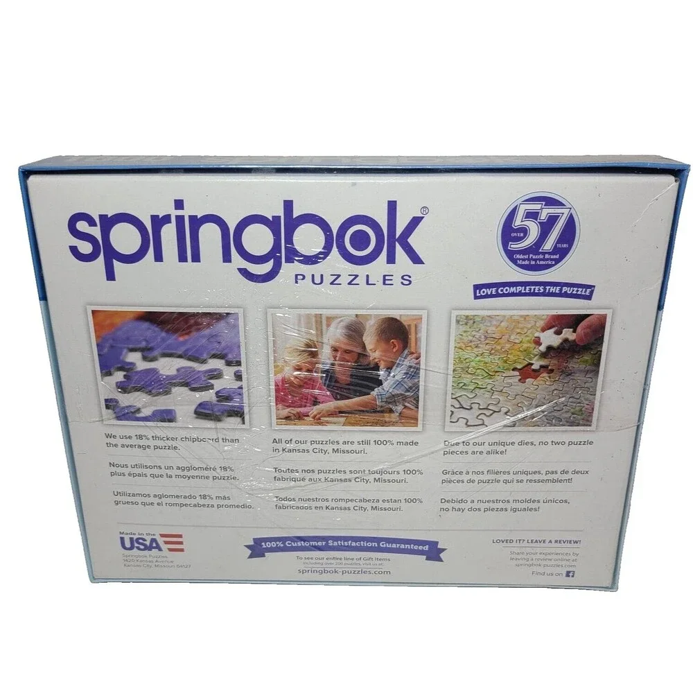 Springbok GROOVY RECORDS 1000 pc Jigsaw Puzzle SEALED NEW